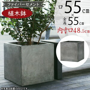 Aؔ ^ lC v^[ | ϗt |bg  Jo[ |pi K[fjO  CeA O[ DF lp {bNX 傫 傫  eX oRj[ ړIXy[X V