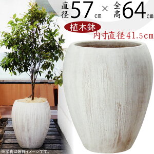 Aؔ ^  v^[ lC |bg | ϗt  |pi ϗtA 񂹐A A Jo[ CeA  oRj[ eX x_  t@Co[Zg y 