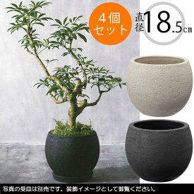 【植木鉢】おしゃれ プランター テラコッタ 人気 おすすめ カイト ボール 4個セット 8号 直径24cm×全高20cm 素焼き 陶器製 ポット 園芸鉢 ガーデニング 観葉植物 緑 ボウル 丸形 丸型 お庭 テラス 景観 バルコニー ハンドメイド シンプル モダン アイボリー ダークブラック