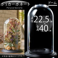 ポリカーボネート 花器 おしゃれ 人気 大型 フラワーベース ドーム インテリア 花瓶 おすすめ 大きい 大…