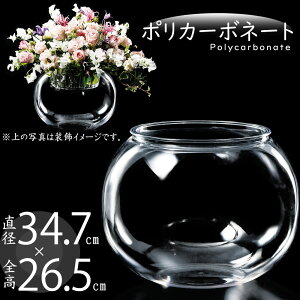 |J[{l[g ԕr  lC ^ t[x[X {E {[ ی` ی^ ۂ ~^ ~` CeA Ԋ  傫 傫 y  NA v Mtg v[g 