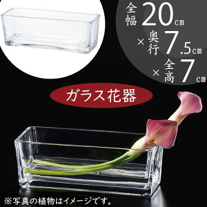 ガラス花瓶 おしゃれ 人気 フラワーベース 花器 花瓶 ガラス花器 ガラス 幅広 ワイド 横長 箱型 浅鉢 浅型 浅い 角型 インテリア 透明 クリア 硝子 花入れ フラワーアレンジメント 緑 花束 デ
