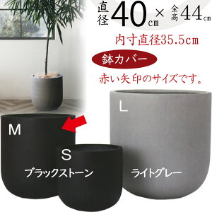 Jo[ v^[ Jo[  ^ lC t@Co[Zg y ϗtA ChAO[ CeAO[  CeA Ƌ  Aؔ | ϗt  X^C