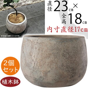 テラコッタ 植木鉢 おしゃれ 人気 プランター おすすめ 観葉植物 園芸鉢 観葉鉢 ポット 器 ガーデニング 園芸用品 寄せ植え 鉢植え インテリア お庭 テラス バルコニー 広場 鉢カバー お洒落