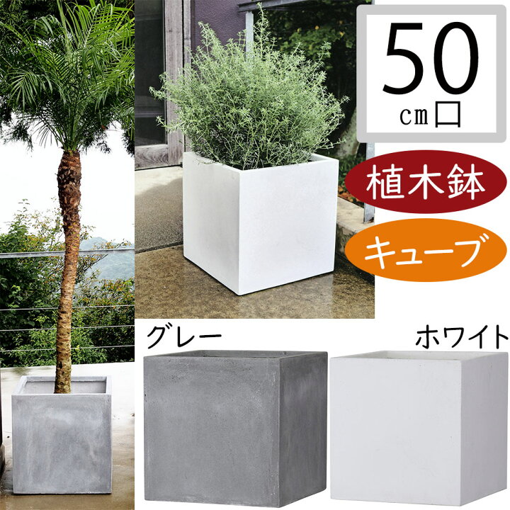 楽天市場】植木鉢 大型 おしゃれ 人気 プランター おすすめ ポット 器 