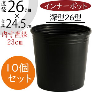 hCi[ |bg  lC ubN  ||bg _炩f Rh~ |G` Eh Aؔp Jo[p v^[Jo[p e |pi Aւ A ϗt