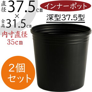 hCi[ |bg ^  lC ubN  ||bg _炩f Rh~ |G` Eh Aؔp Jo[p v^[Jo[p e |pi Aւ A 