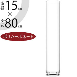 |J[{l[g ԕr  lC ^ t[x[X V_[ ~ ^ ` CeA Ԋ  傫 傫 y  NA v Mtg v[g 蕨 IuWF 