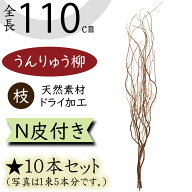 雲竜柳 うんりゅう柳 ドライフラワー おしゃれ 枝 N皮付き ウンリュウヤナギ 天然素材 自然素材 ドライ素…