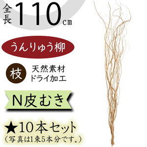 _ イ hCt[  } Nނ EEiM VRf Rf hCf } } u` lC CeAO[ ϗtA CeA t[A