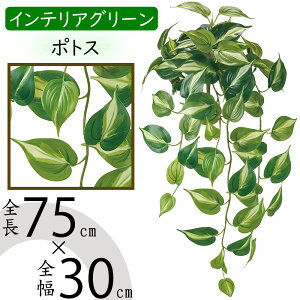 tFCNO[ C|gX ^  lC CeAO[ A lHϗtA  lH A[gvc A[gO[ ϗtA ChAO[ CeA IuW