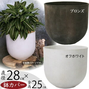 Jo[ v^[Jo[  lC ϗt | |bg  CeAO[ ϗtA ChAO[ K[fjO A    tA CeA Ƌ  