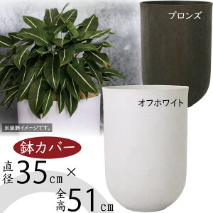 Jo[ ^  lC v^[  CeA ϗt | |pi ϗtA K[fjO ChAO[ CeAO[ |bg [^ [ c   