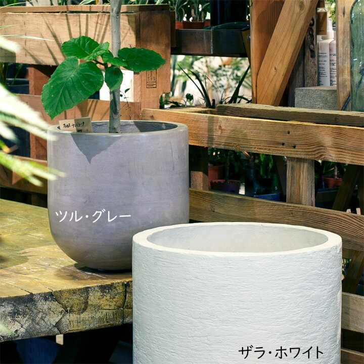 楽天市場】プランターカバー 鉢カバー おしゃれ 大型 人気 グレー 観葉