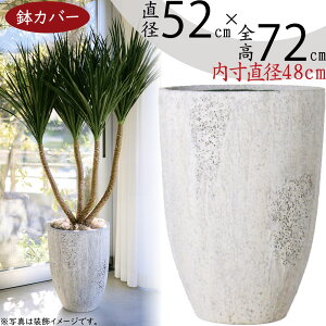 Jo[ v^[ Jo[  ^ lC ϗtA ChAO[ CeAO[  CeA Ƌ  Aؔ | ϗt |bg  t@Co[Zg i 