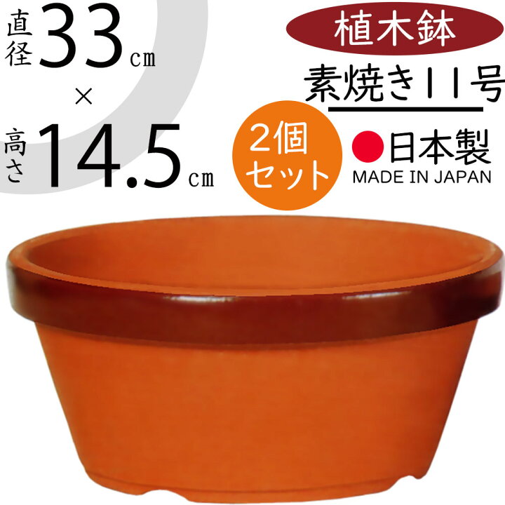 楽天市場】植木鉢 素焼き 大型 人気 おしゃれ 陶器鉢 観葉鉢 園芸鉢 