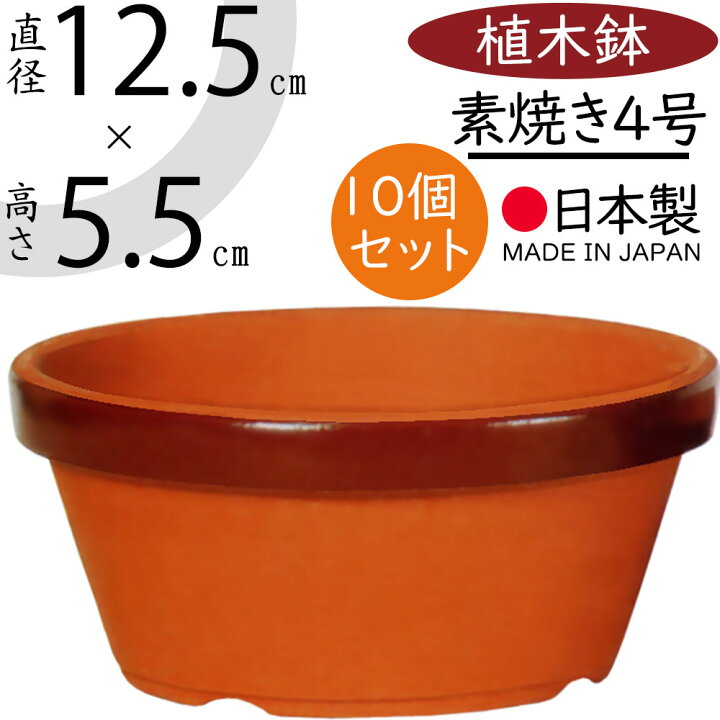 楽天市場】植木鉢 素焼き 人気 おしゃれ 陶器鉢 観葉鉢 園芸鉢 