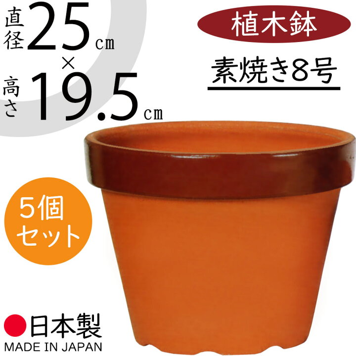 楽天市場】植木鉢 素焼き 人気 おしゃれ 陶器鉢 観葉鉢 園芸鉢 