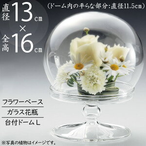 h[KX KXh[  t[x[X lC  ԕr Ԋ h[OX CeA IuWF Ƌ P[X Jo[  NA ԓ t[AWg fBXv