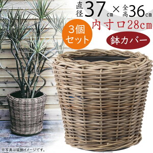 バスケット 鉢カバー プランター カバー 大型 おしゃれ 人気 インテリア 観葉植物 インドアグリーン インテリアグリーン 天然素材 自然素材 花器 ギフト フラワーアレンジメント 樹木 園芸