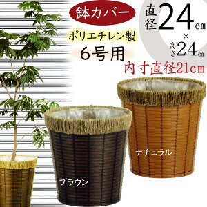 oXPbg Jo[ v^[ Jo[ uE  lC CeA ϗtA ChAO[ CeAO[ Ԋ Mtg t[AWg   | ϗt A