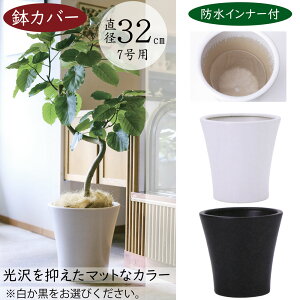 Jo[ v^[ Jo[ ^ lC  Ci[|bgt ϗtA ChAO[ CeAO[  | ϗt  |bg  zCg ubN   mg[