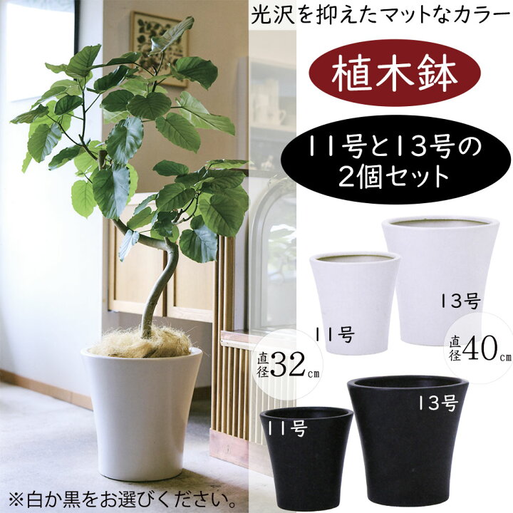 楽天市場】植木鉢 大型 おしゃれ 人気 プランター おすすめ ポット 器 