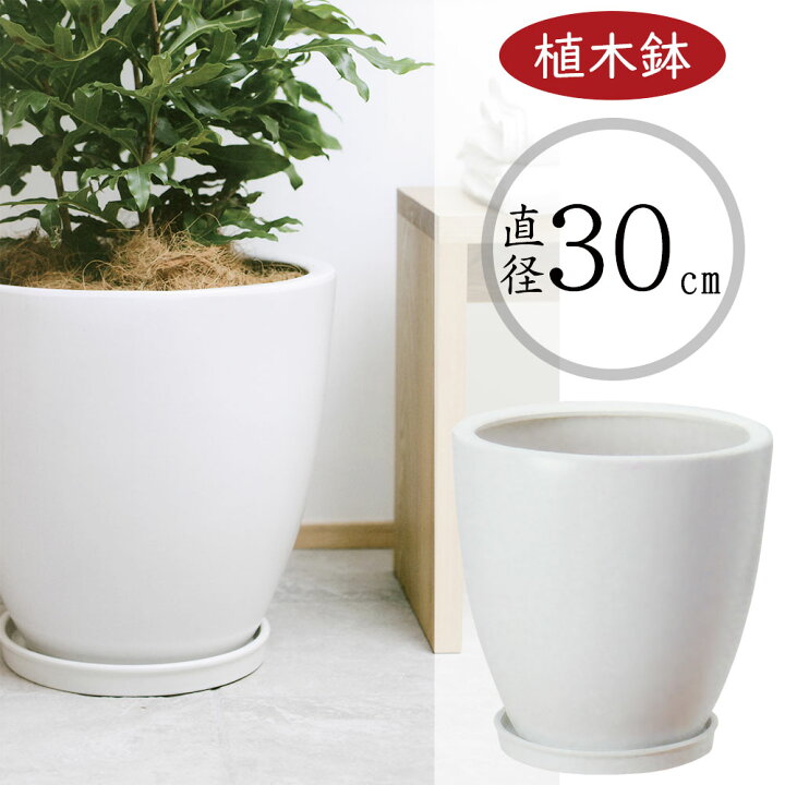 楽天市場】植木鉢 大型 おしゃれ 受け皿付き 人気 プランター おすすめ 