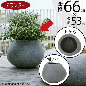 Jo[ ^ lC  v^[ |bg 唫 |pi ϗtA CeAO[ ChAO[ CeA Ƌ y Op OɂΉ   oRj[ t@T[h