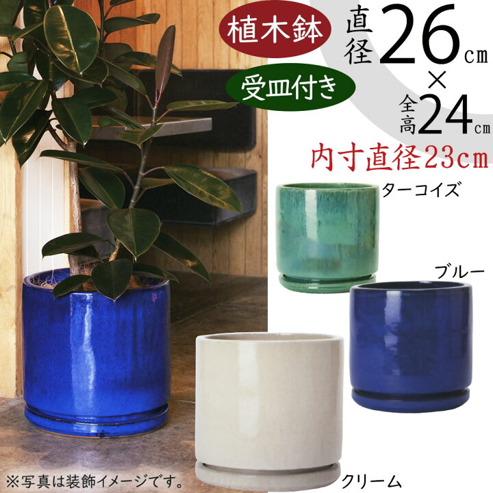 楽天市場】植木鉢 受け皿付き おしゃれ 人気 プランター 観葉植物 樹木 