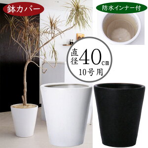 Jo[ v^[ Jo[ ^ lC  Ci[|bgt ϗtA ChAO[ CeAO[  | ϗt  |bg  zCg ubN   mg[