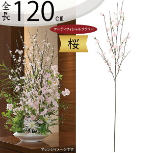   TN  ^  lC A A[eBtBVt[ lHϗtA CeAO[ tFCNO[ A[gt[ t[AWg ԍ fBXv