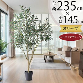 オリーブの木 大型 フェイクグリーン おしゃれ 人気 観葉植物 インテリアグリーン リアル 人工観葉植物 樹木 造花 アートグリーン アートプランツ インテリア 家具 オブジェ オリーブ オリーブの実 ギフト プレゼント 店舗 新築祝い 引っ越し祝い 開店祝い 特大 全高235cm