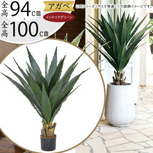 AKx tFCNO[ A  lC A  CeAO[ AKF E[c lHϗtA A[gvc lH  A[gO[ ChAO