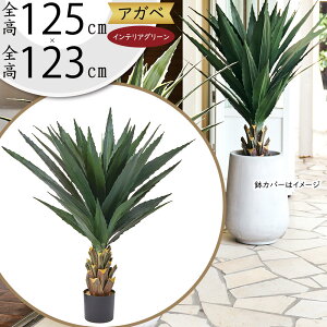 AKx tFCNO[ A  lC A  CeAO[ AKF E[c lHϗtA A[gvc lH  A[gO[ ChAO