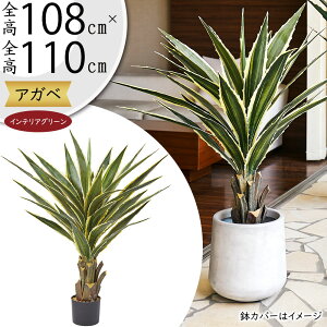 AKx tFCNO[ A  lC A  CeAO[ AKF E[c lHϗtA A[gvc lH  A[gO[ ChAO