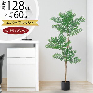 tFCNO[ lmL l̖ ˂ނ̖  A lC CeAO[ lHϗtA  A[gO[ A[gvc CeA lH Mtg Vzj JXj