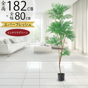 tFCNO[ ^ lmL ˂ނ̖ l̖  A CeAO[ lHϗtA  A[gvc A[gO[ CeA lH Mtg Vzj JXj