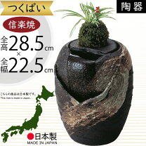 楽天市場】水循環 インテリア（花・ガーデン・DIY）の通販