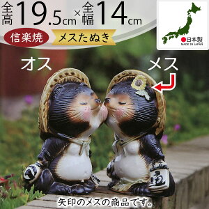 My ʂ lC   K u CeA N ĂԒK  Ă Yi { ^kL IuWF Mtg v[g 蕨 yY JXj J Vzj z