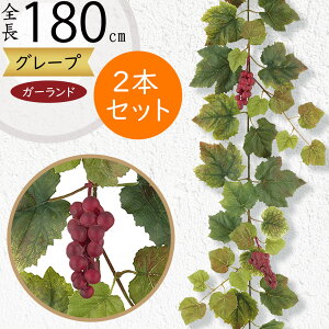 K[h  lC  tFCNO[ CeAO[ lHϗtA  A fR[V fBXvC t ǖʑ a p[eB[ O[v t