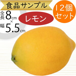 HiTv  EG  A lC tFCNt[h  ʕ ʎ  xW^u T_   AWg fBXvC e[uR[fBl[g  Hi͌^ 