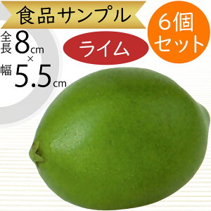 HiTv C A lC k tFCNt[h  ʕ ʎ xW^u   AW fBXvC e[uR[fBl[g  Hi͌^ _    X 