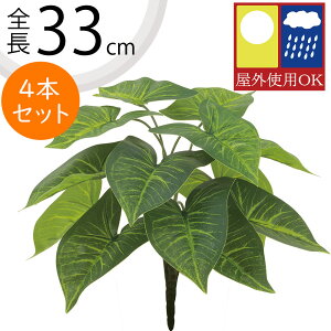 VSjE VSj[ tFCNO[ Op  lC CeAO[ A ϗtA  A[gvc CeA lHϗtA lH IuWF t[A