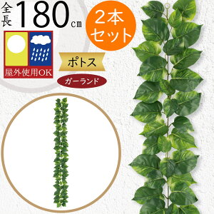 K[h  tFCNO[ Op OɂΉ lC  A VbTX CeAO[ lHϗt  ǖ   tFX K[f Cxg   oR