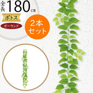 K[h  lC  tFCNO[ CeAO[ lHϗtA  A[eBtBVt[ A fR[V fBXvC t ǖʑ V t