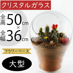 NX^KX KXԕr ^  lC t[x[X Ԋ ԕr CeA  NA Ɏq ԓ t[AWg fBXvC Mtg v[g ꑕ p[e