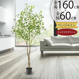 tFCNO[  ϗtA A lC  ^ 傫 傫 CeAO[ CeA  A[gO[ tBJX xW~ xW~i lHϗtA l