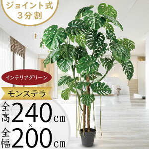 tFCNO[ Xe  lC  A CeAO[ ^ 傫 傫  lHϗtA lH  CeA IuWF { ChAO[