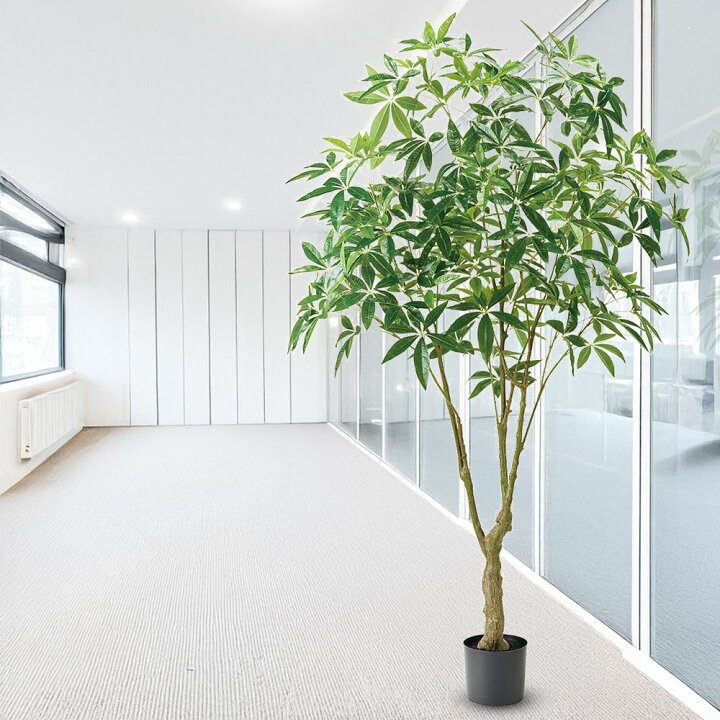 楽天市場】パキラ フェイクグリーン 大型 観葉植物 人気 おしゃれ 
